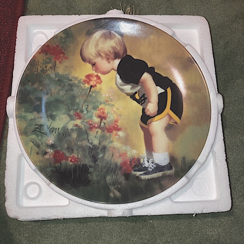 I’m selling an Antique plate from the collection of Grandmas Garden.